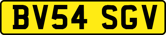 BV54SGV