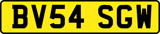 BV54SGW