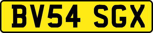 BV54SGX