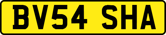 BV54SHA