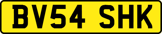 BV54SHK