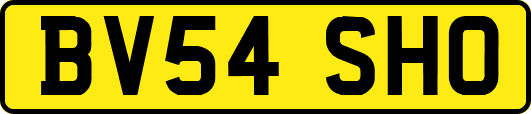 BV54SHO