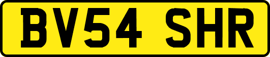 BV54SHR