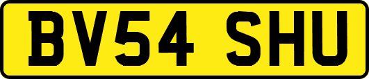 BV54SHU