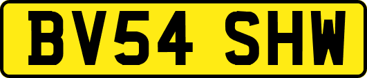 BV54SHW