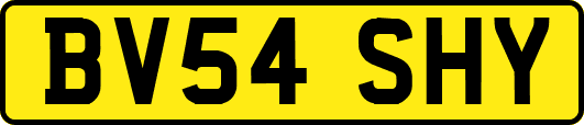 BV54SHY