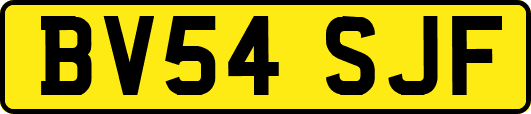 BV54SJF