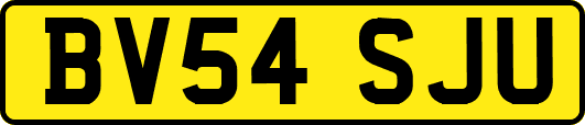 BV54SJU