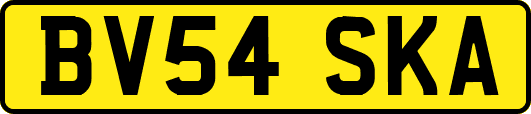 BV54SKA