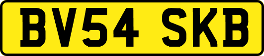 BV54SKB