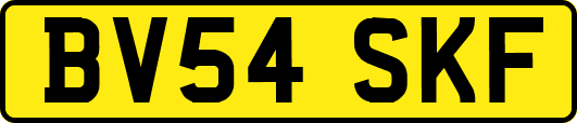 BV54SKF