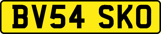 BV54SKO