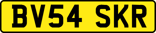 BV54SKR
