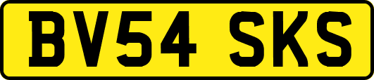 BV54SKS