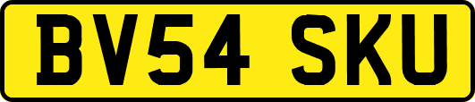 BV54SKU