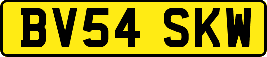 BV54SKW