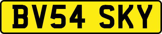 BV54SKY