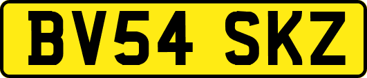 BV54SKZ