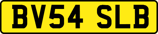 BV54SLB