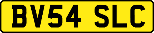 BV54SLC