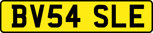 BV54SLE