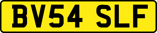 BV54SLF