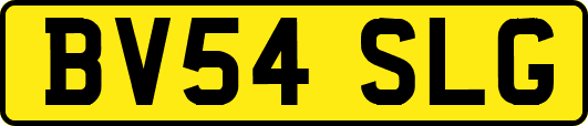 BV54SLG