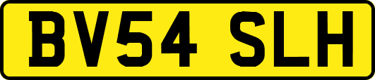BV54SLH