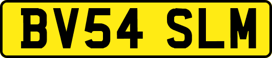 BV54SLM