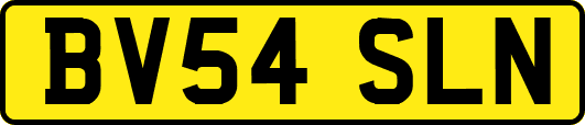 BV54SLN