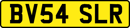 BV54SLR