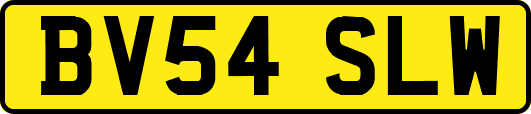 BV54SLW