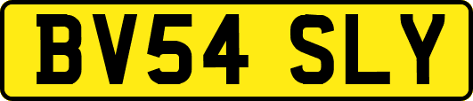 BV54SLY