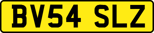 BV54SLZ