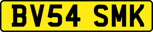 BV54SMK