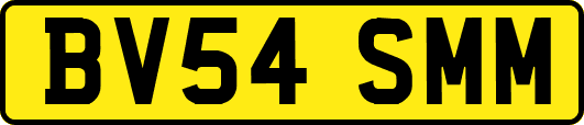 BV54SMM