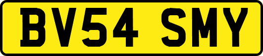 BV54SMY