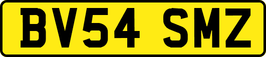 BV54SMZ