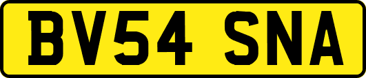 BV54SNA