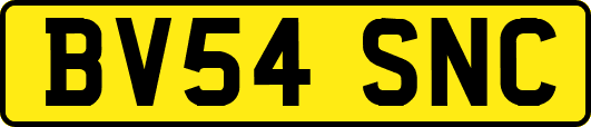 BV54SNC