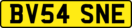 BV54SNE