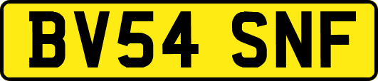 BV54SNF