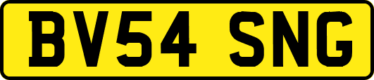 BV54SNG