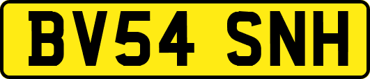 BV54SNH