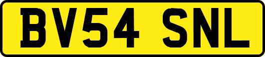 BV54SNL