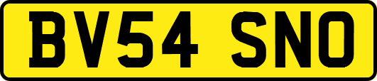 BV54SNO