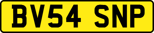BV54SNP