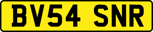 BV54SNR