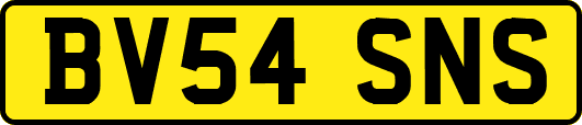 BV54SNS