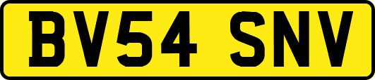 BV54SNV